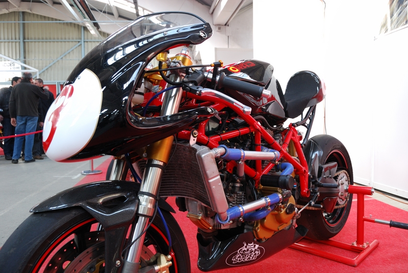 Puce_Niort_2009_069 [800x600].jpg